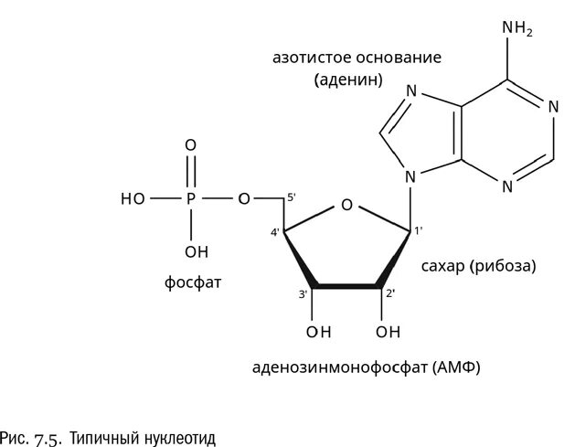 Кодеина фосфат препарат. Фосфат c. Гидрофосфат натрия структурная формула. Фосфат c. Фосфат c.