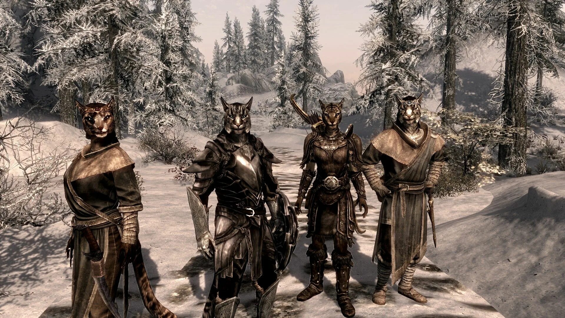 Скайрим новый персонаж. Каджит Карджо. Skyrim Карджо. Скайрим Каджитский Караван. Скайрим Караван каджитов.