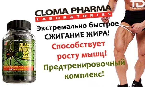 Жиросжигатель Cloma Pharma Black Spider 25. Cloma Pharma термогеник Black Spider, 100 шт.. Cloma Pharma Black Spider 100 caps. Cloma Pharma Black Spider 100 капсул. Средства для сжигания