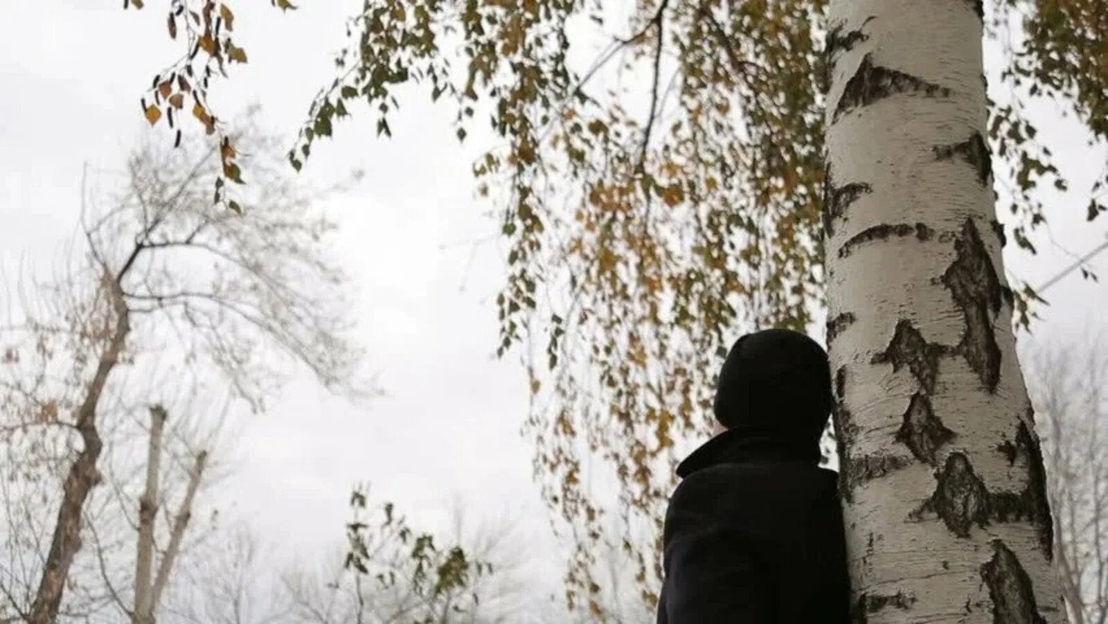Скромно вошла зима в березовую рощу