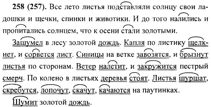 Русский язык пятый класс упражнение 258. Всё лето листья подставляли солнцу свои. Домашняя работа по русскому языку 5 Разумовская Львова. Русский язык Разумовская номер 258.