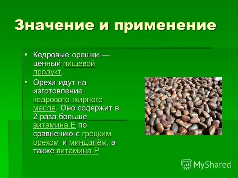 Сколько есть кедровых орехов. Чем полезен Кедровый орех. Чем полезны кедровые орешки. Кедровые орехи полезные. Для чего полезен Кедровый орех.