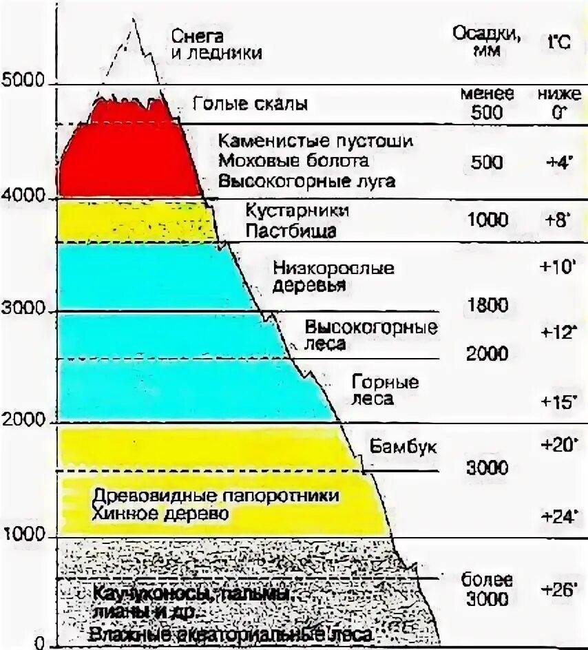 Природные зоны кавказских гор таблица. Высотная поясность Тянь Шань. Высотная поясность Гималаев схема. Высотная поясность Северной Америки. Зона ВЫСОТНОЙ поясности Южной Америки таблица.