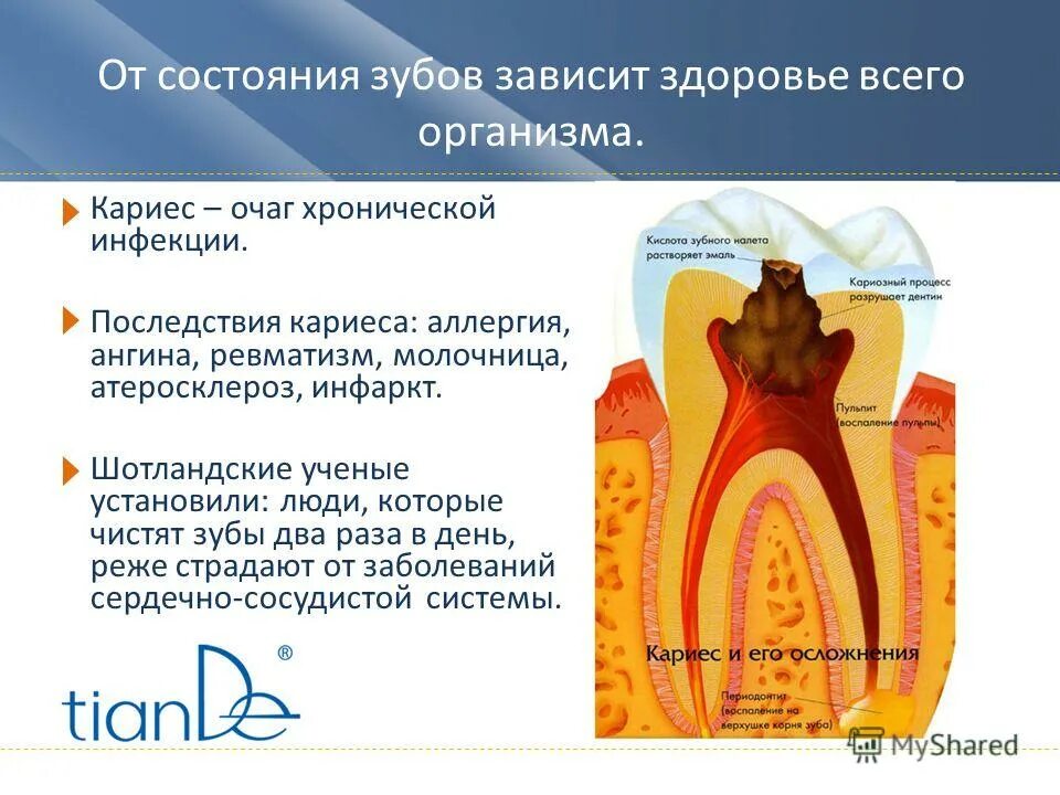 От чего зависит зубы. Влияние кариеса на организм. влияние здоровья зубов на организм. кариес зубов влияние на организм. состояние зубов зависит.