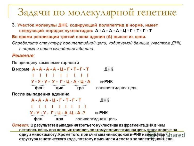 Изменения происходят в последовательности нуклеотидов молекулы днк. Биология ДНК И РНК задачи. Задачи на Цепочки ДНК И РНК. Решение задач на Цепочки ДНК И РНК. Задачи по генетике ДНК РНК.