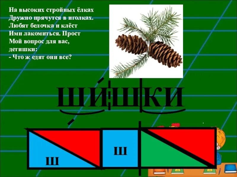 Шишка звуковая схема. Схема шишки звуки. Шишки звуковая схема 1 класс. Шишки схема 1 класс. Шишка какие звуки