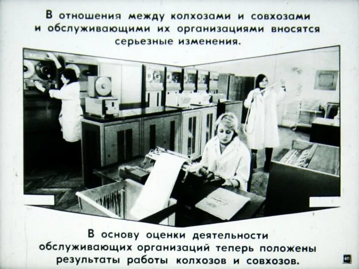 Разница между колхозом и совхозом. Разница между колхозом и совхозом