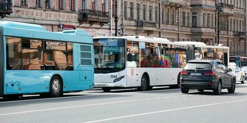 Транспорт санкт-петербурга. Эколайн автобусы москва санкт-петербург. Эколайн автобусы спб. 30. Автобус санкт-петербург.