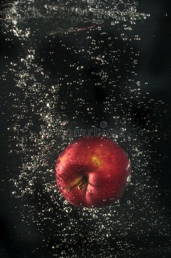 Яблоки не падают никогда отзывы. Яблоко падает в воду. Красное яблоко на воде. Падающее яблоко. Красное яблоко падающий в воду.