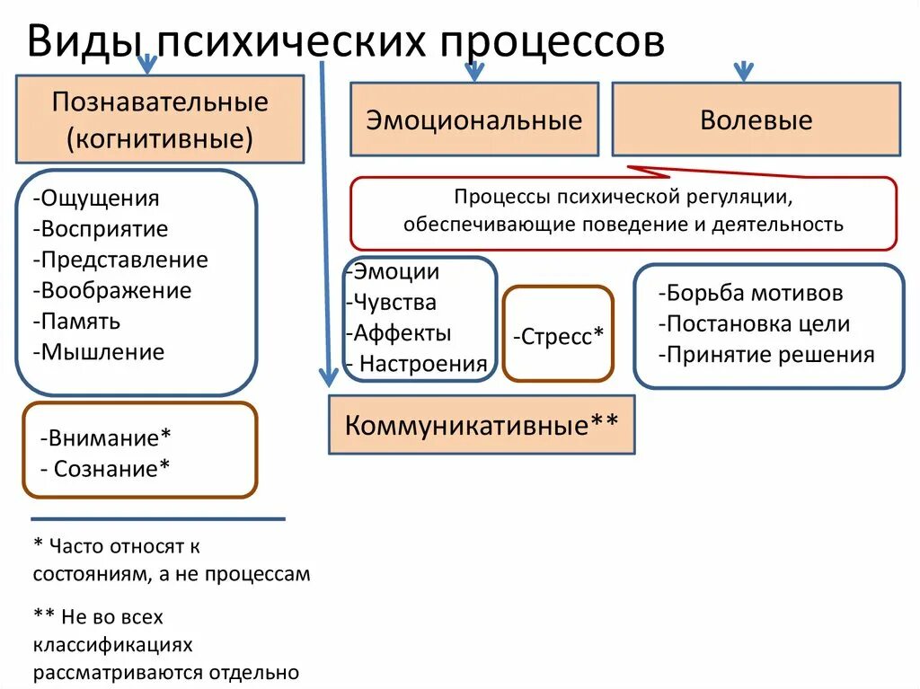 Память относится к психическим