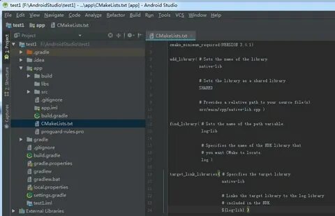Gradle environment variables