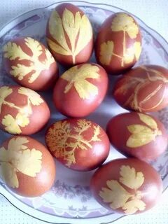 Покраска яиц зеленкой