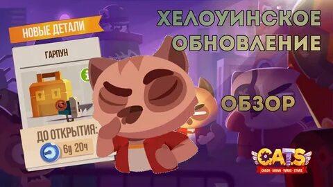 Кетс витек