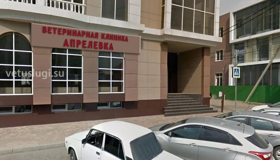 апрелевка ветеринарная клиника круглосуточно. ветеринарная клиника в апрелевке. ветеринарный центр апрелевка. апрелевский ветеринарный центр. ветеринарная клиника в апрелевке.