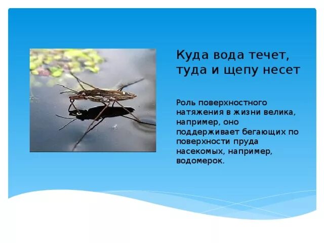 Книжка малышка рождество христово 5 класс родная литература. Пословица про дышло. Доброе слово сказать посошок в руки дать. Пословица куда пастушок. Пословица про дышло.