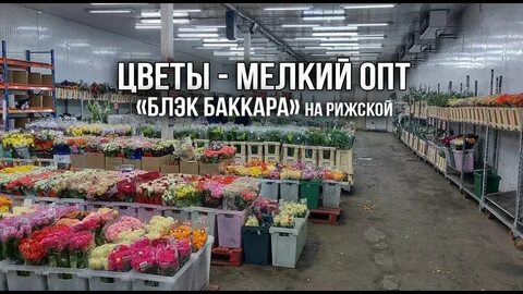 Опт цветы рынок москва