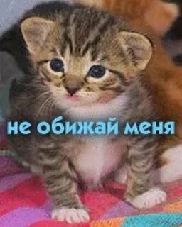 Смотришь на меня не обижайся