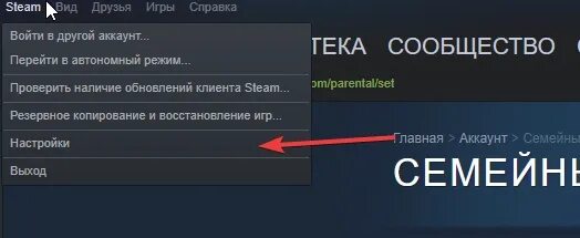 Как создать семейный аккаунт в steam. Кнопка авторизации через стим. переход в автономный режим steam. как перейти в автономный режим steam. как перейти в автономный режим в стиме.