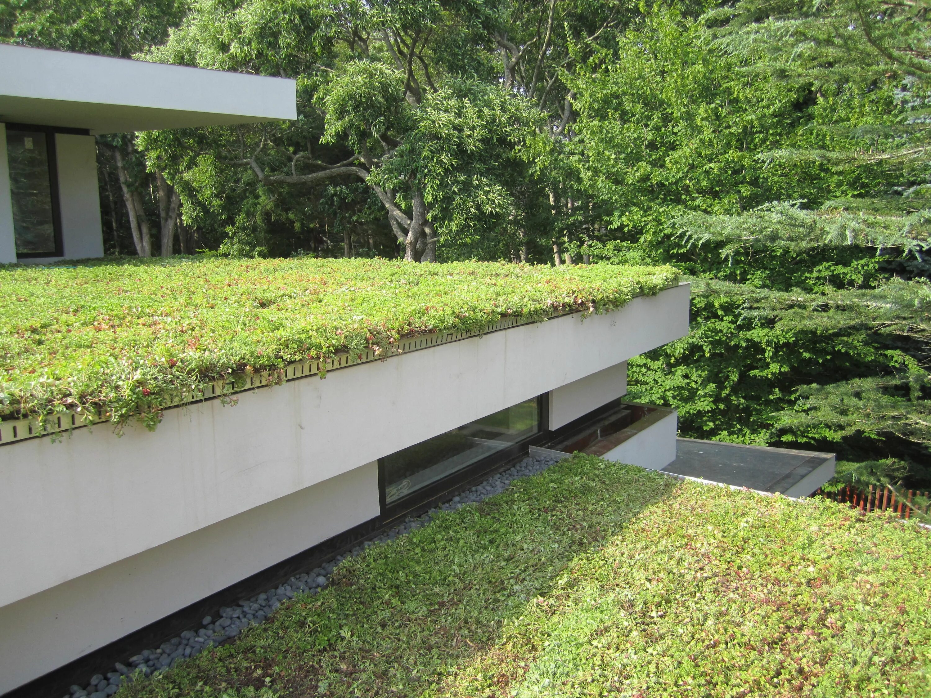Green Roof. Green biotope Roofs. Vierhavenstrip Green Roof. Green Walls and Green Roofs Ecotechnologies.