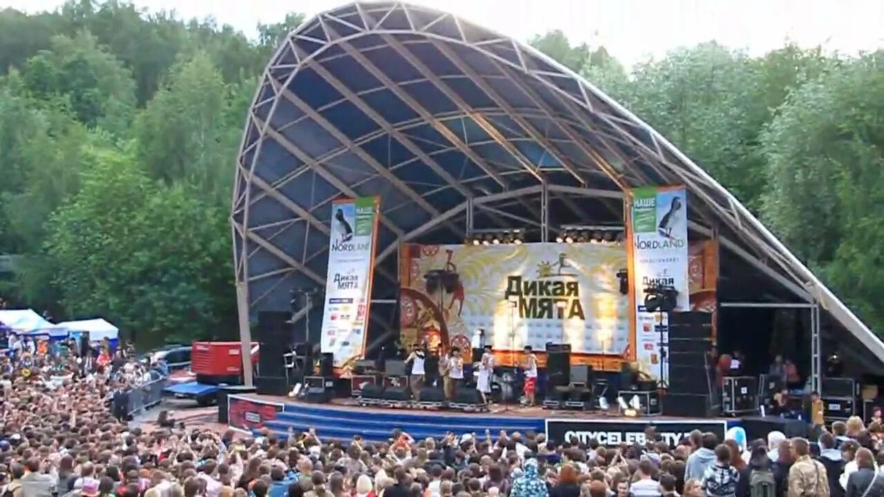 Дикая мята купить. Дикая мята 2010. Дикая мята 2008 год Тропарево. Костры Дикая мята. Фестиваль Дикая мята.