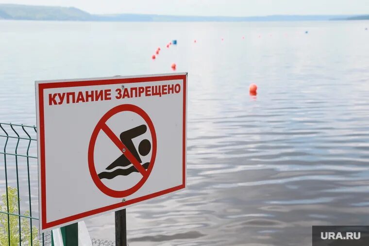 Почему нельзя плавать где утки