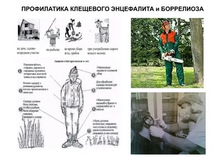 Последствия энцефалита