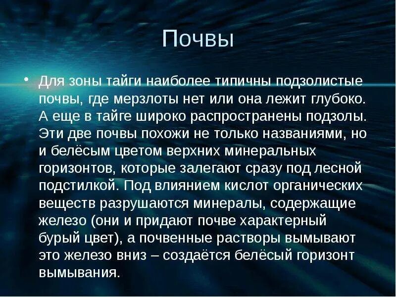 Какая характеристика в тайге. Почвы тайги. Характеристика почвы тайги. Почва в тайге 4 класс. Почвы зоны тайги.