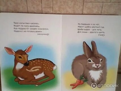 Пальто загадка 1 класс