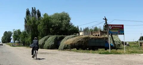 Погода сурхандарья шурчи 10