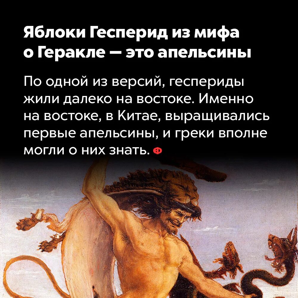 Есть миф о том что. 12 подвиг геракла золотые яблоки гесперид. мифы подвиги геракла 11 подвиг. мифы древней греции подвиги геракла. мифы о геракле яблоки гесперид.
