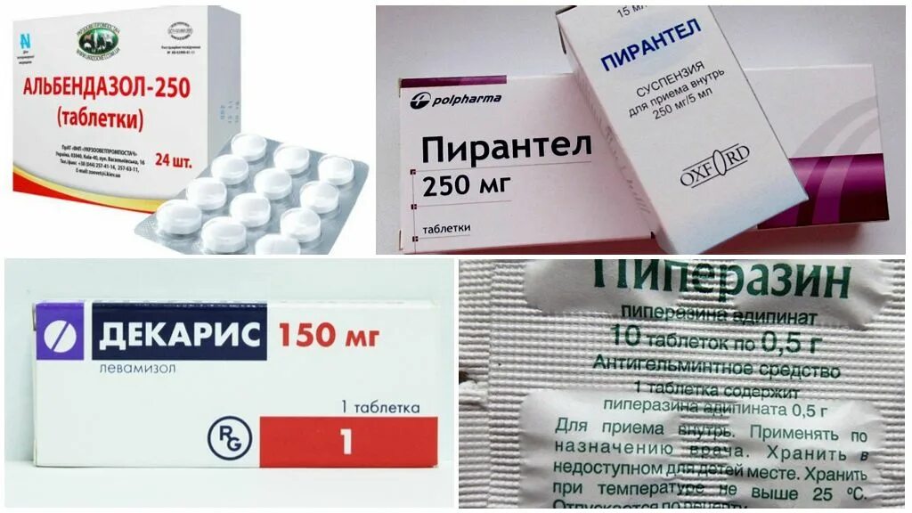 Глисты у человека симптомы и лечение таблетки. Таблетки от паразитов в крови. таблетки от глистов во влагалище. мед препараты от глистов для человека. таблетки от круглых червей.