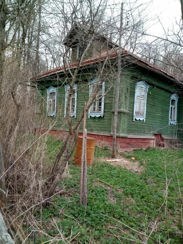 Деревня Носково Дмитровский район. Деревни в Подмосковье. Деревенский дом в Дмитрове. Дом для ПМЖ В деревне. Купить дом пмж в дмитровском районе