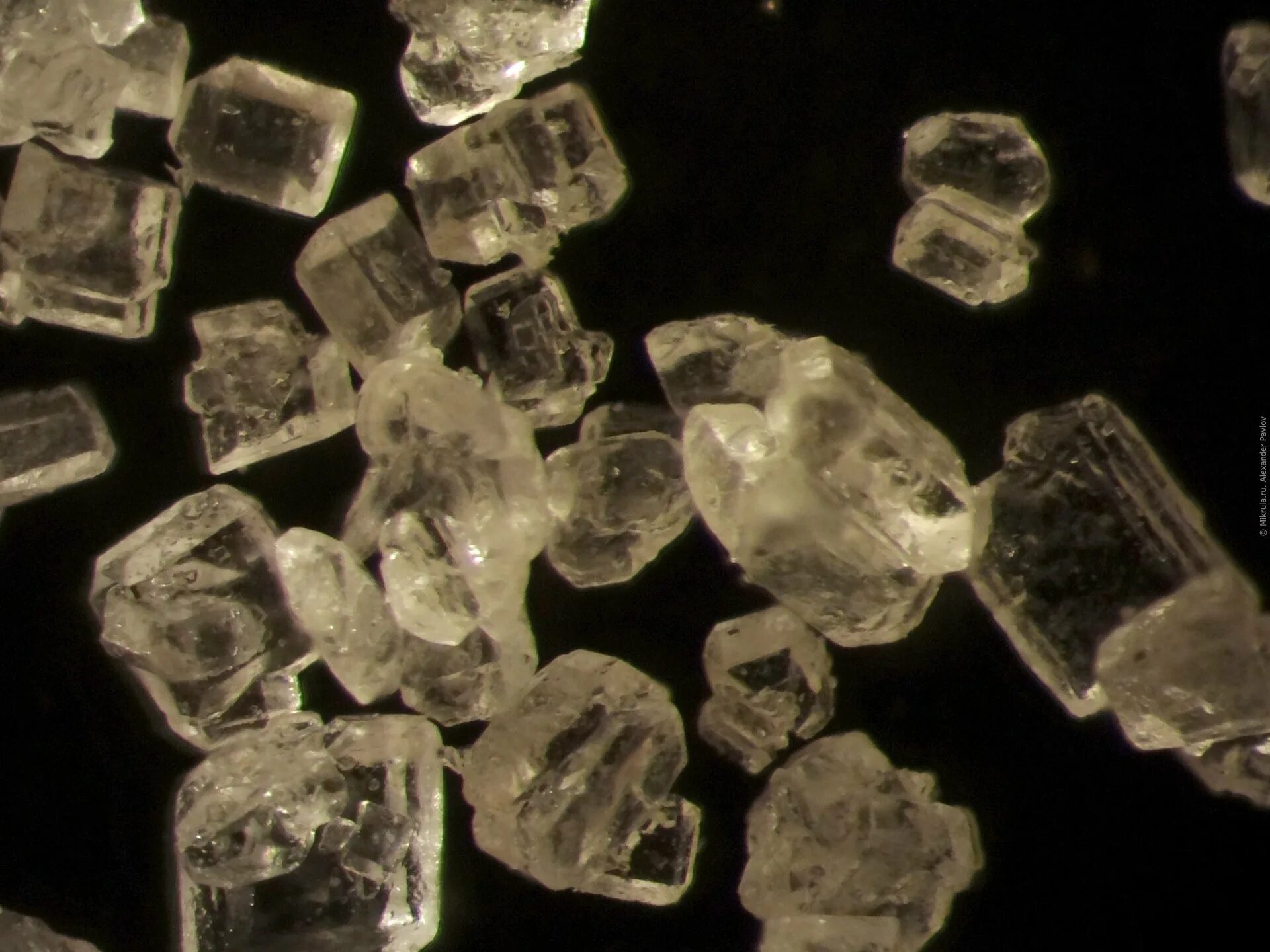 Кристаллики сахара под микроскопом. Кристаллы поваренной соли под микроскопом. Кристаллы соли и сахара под микроскопом. Крупинка сахара под микроскопом.