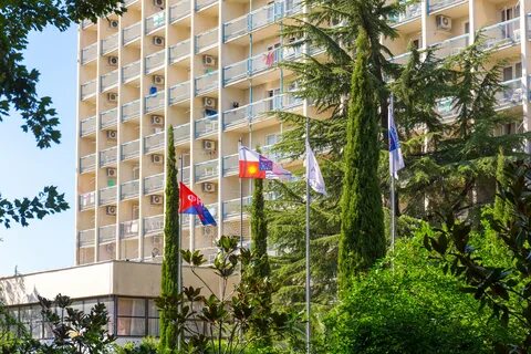 Погода адлер курорт