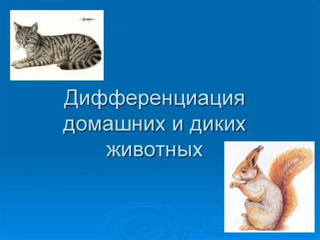 Животные дифференциация. Дифференция дикие домашние животные. Домашние и дикиетживорные. Автоматизация звука л в тексте. Распредели диких и домашних животных.