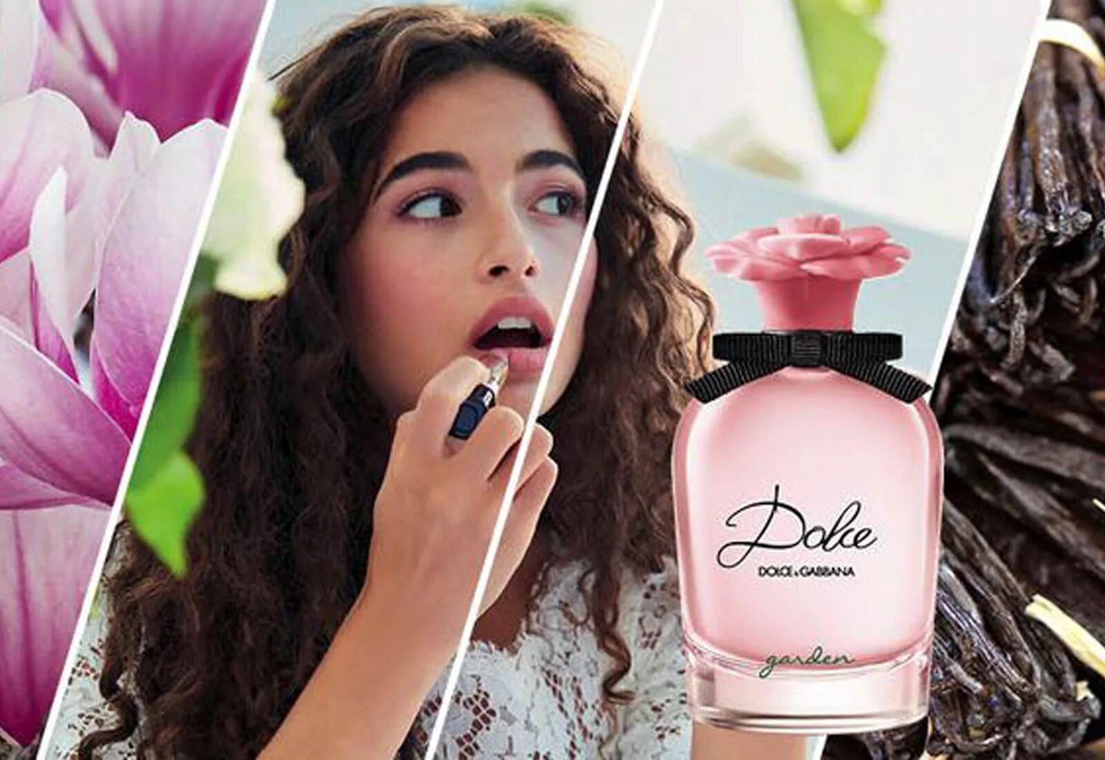 Dg dolce. Дольче Габбана Garden. Дольче Габбана Роуз Гарден. Dolce Gabbana Garden. Dolce Gabbana Dolce Garden.