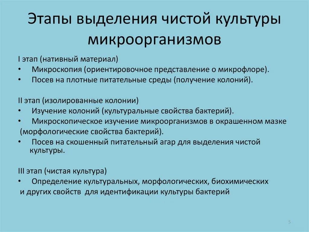 Свойства идентификации бактерий. Этапы выделения чистой культуры бактерий. Этапы выделения чистой культуры возбудителя.. Этапы выведения чистой культуры. Этапы выделения чистой культуры микробиология.