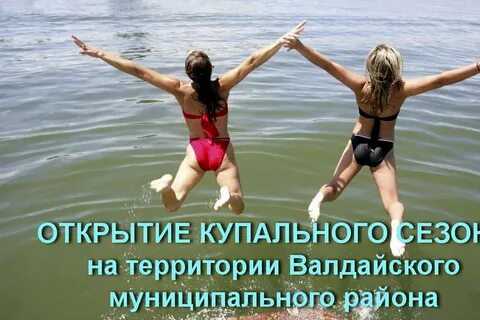 Включи где они плавают