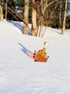 Отнесите кленовый сироп в тайный лес
