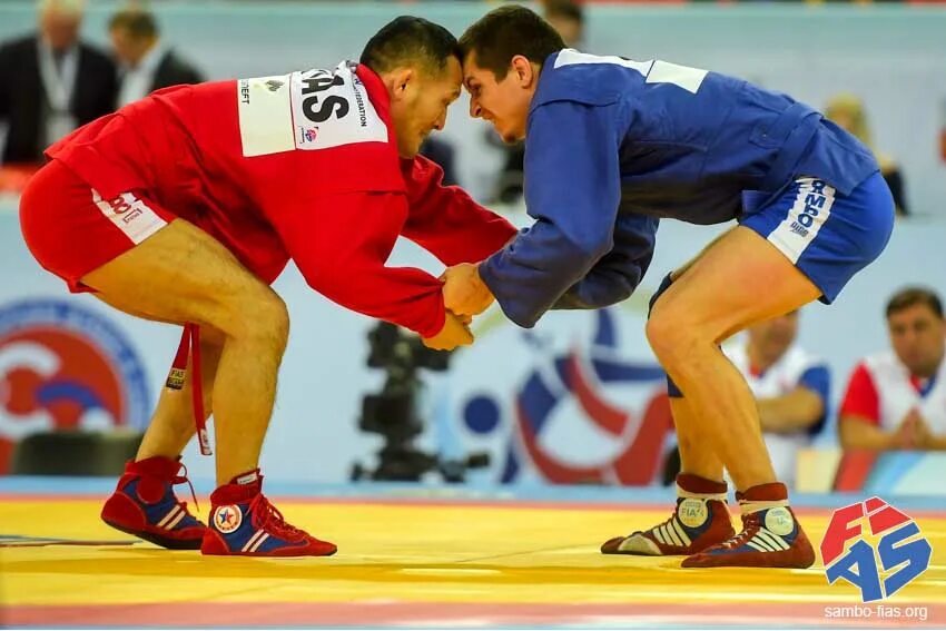 Стойка в самбо. Роман владимирович самбо. Стойка в самбо. Салаев дени боевое самбо. Игорь кашин самбо.