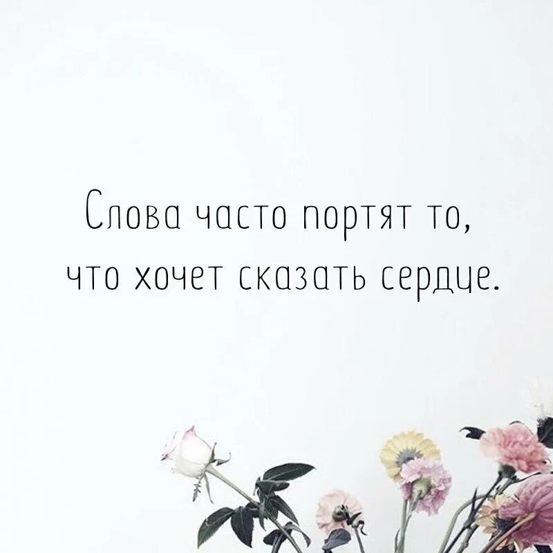 Что такое привязанность. Афоризмы про привязанность. цитаты про привязанность. пахнет осенью афоризмы. пахнет осенью цитаты.