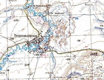 Петропавловское алтайское расстояние