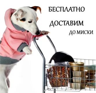 Зоотовары