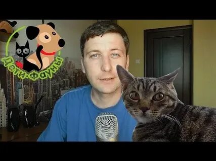 Тг канал животные