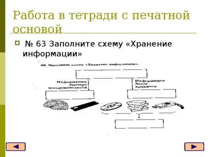 Заполните схему хранение информации