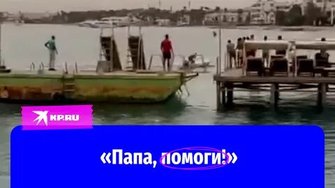 Хургада акулы египет 2023