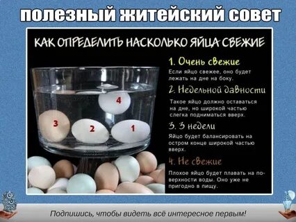 Если яйцо всплывает в холодной воде