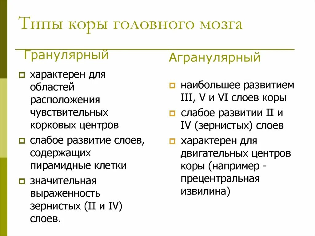 Агранулярный и гранулярный Тип коры. Типы коры головного мозга. Агранулярный Тип коры больших полушарий.