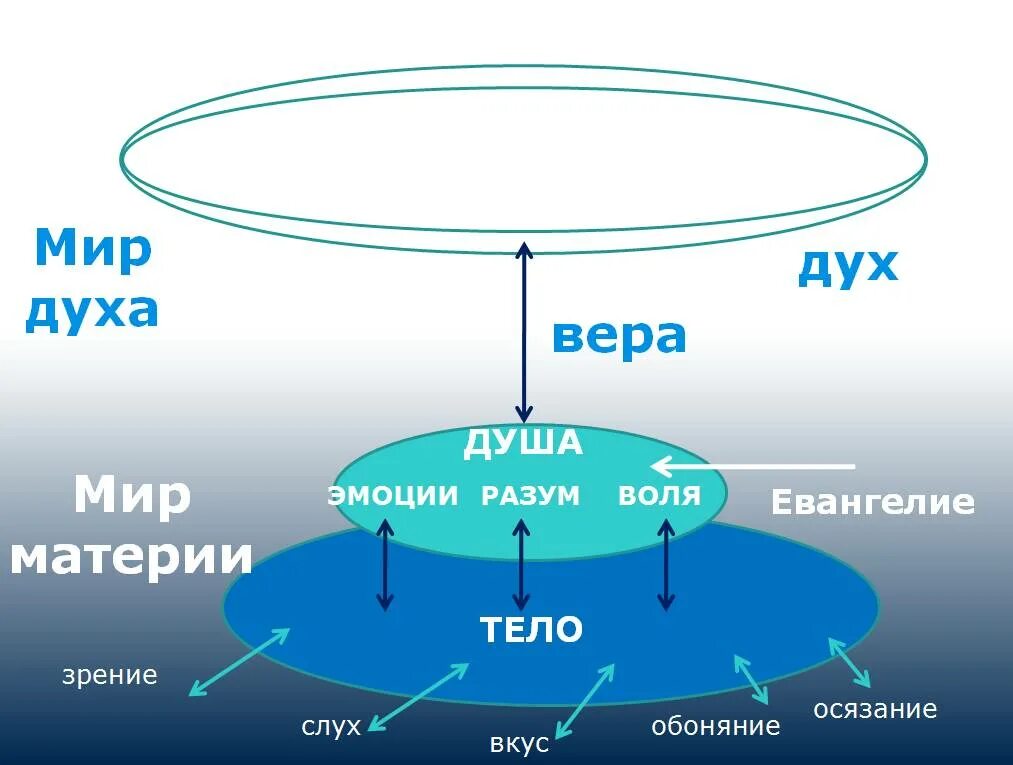 Дух, душа и тело. Человек дух душа тело. Дух душа и тело схема. Триединство дух душа тело.