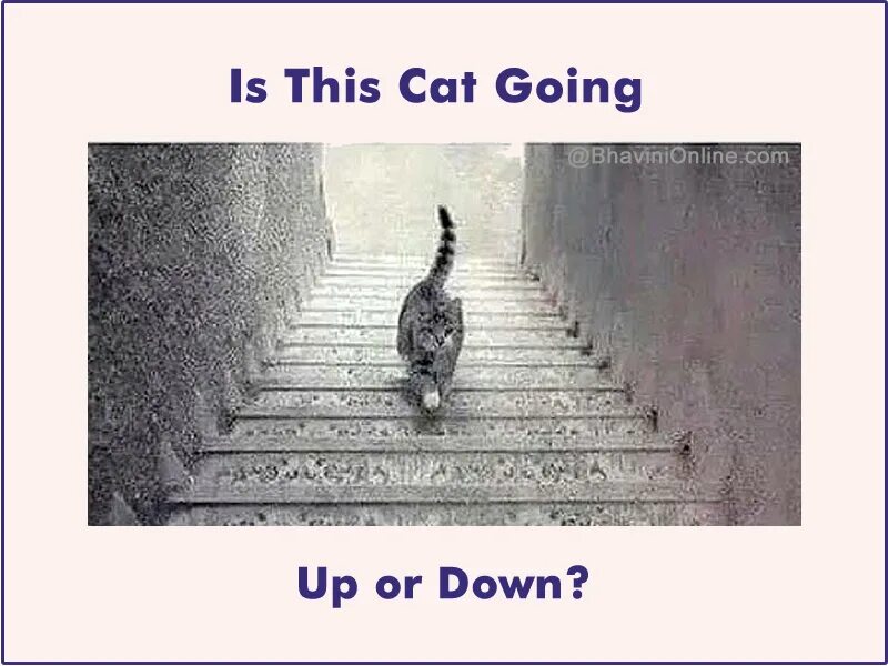 Go up or are going